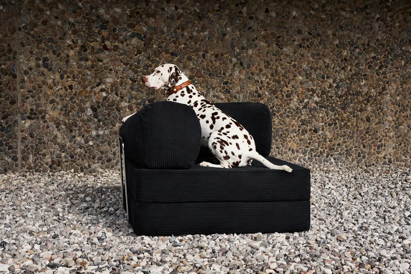 Waterproof Sofa Cover for Pets: Read Before Buying