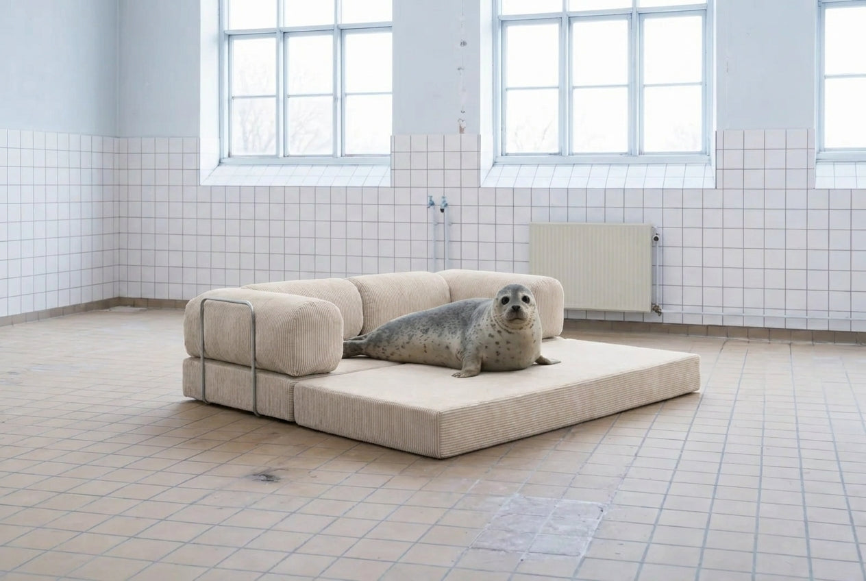 Cream corduroy TEDDY Sofa unfolded flat with three non-overlapping bolster cushions and a seal resting in a tiled daylit room