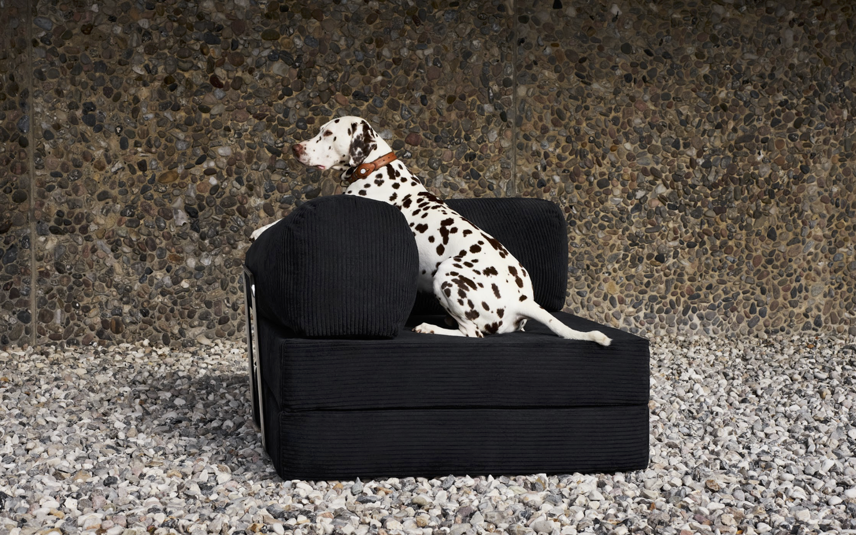 Image description not available