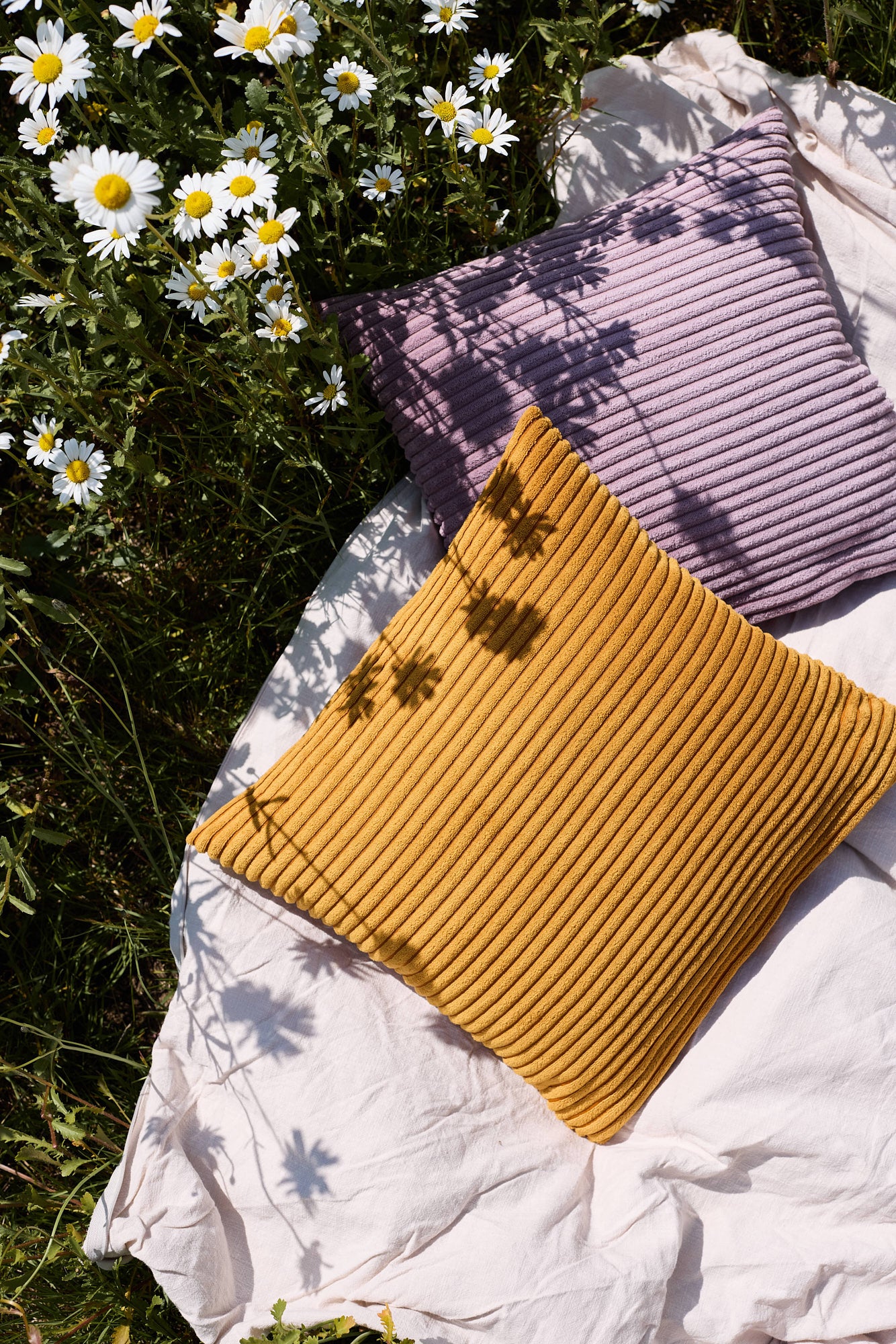 TEDDY Pillows
